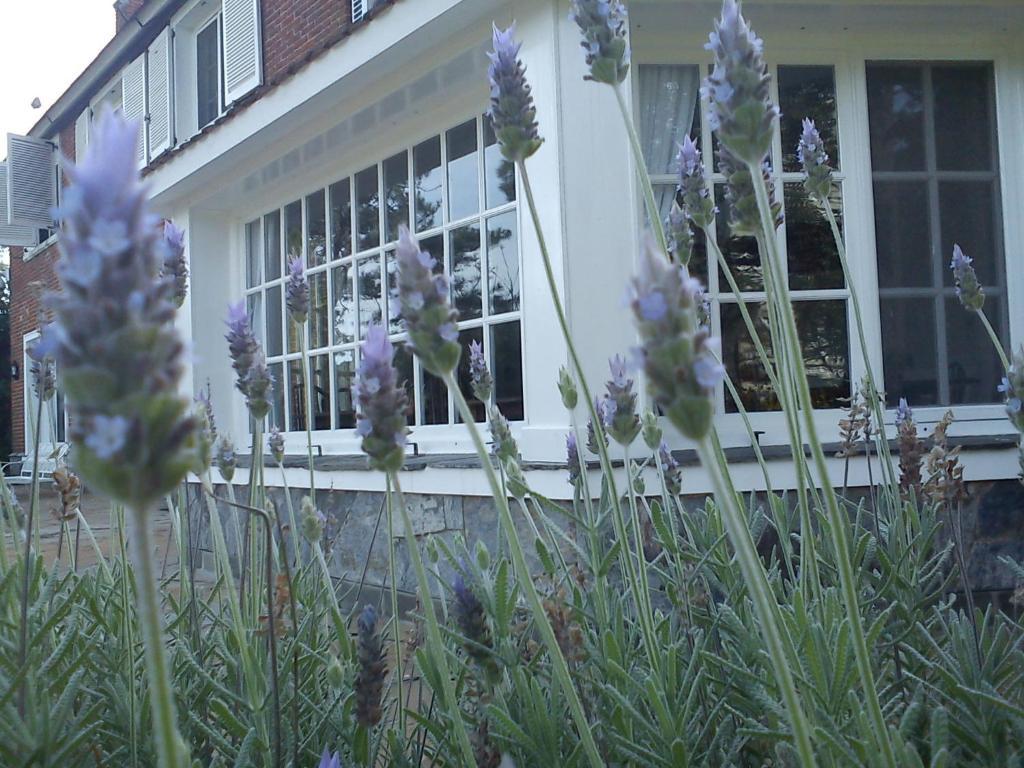 Josephine Boutique Hotel Пунта-дель-Эсте Экстерьер фото